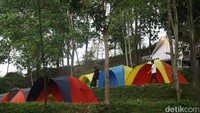 Bagi traveler yang ingin kemping menggunaakn tenda dome juga bisa nih. Harganya mulai Rp 400 ribu dengan kapasitas 4 orang. Di dalam tenda terdapat matras dan selimut juga. Namun, jika membawa tenda sendiri, traveler cukup membayar mulai Rp 70 ribuan per orangnya.  (Ari Saputra/detikcom)
