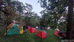 Foto: Tumbuhejo, Glamping dan Camping Ground Seru di Tengah Hutan Sentul