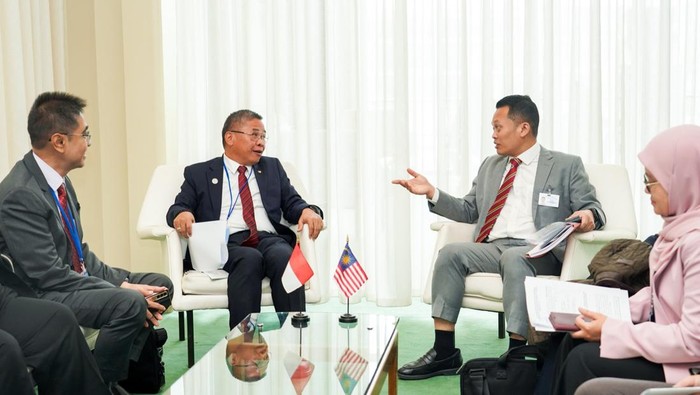 Wakil Menteri Lingkungan Hidup dan Kehutanan, Alue Dohong.