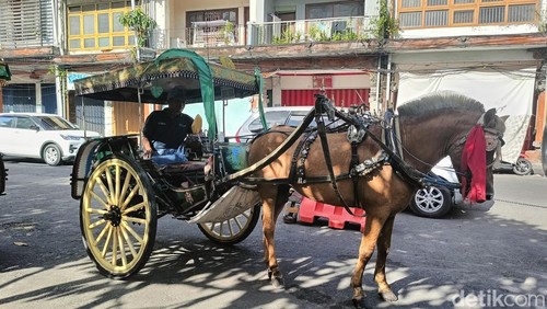 Wisata dokar gratis di Jalan Sulawesi Utara, Denpasar, Bali, Minggu (5/5/2024). (Ni Made Lastri Karsiani Putri/detikBali)