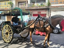 Asyik! Ada Wisata Naik Dokar Gratis di Denpasar, Catat Jadwal dan Rutenya