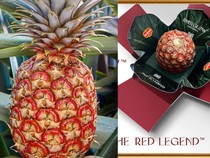 Wow! Harga Nanas Merah yang Unik Ini Sampai Rp 6 Juta