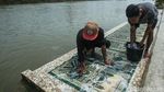 Aktivitas Warga Karawang Mencuci Baju hingga Sajadah Masjid di Sungai Aktivitas Warga Karawang Mencuci Baju hingga Sajadah Masjid di Sungai