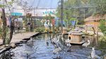 Baru! Jogja Hadirkan Taman Aviary Seru Lewat Ibarbo Park