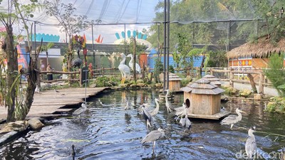 Baru! Jogja Hadirkan Taman Aviary Seru Lewat Ibarbo Park