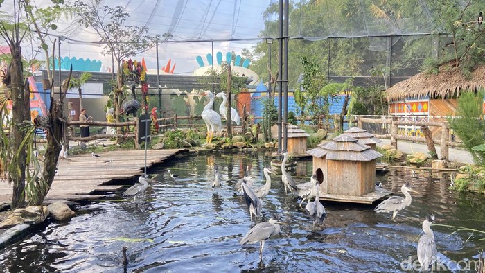 Baru! Jogja Hadirkan Taman Aviary Seru Lewat Ibarbo Park Yogyakarta -Β Baru saja diresmikan tahun ini, Ibarbo Park mengklaim sebagai taman wisata dan pusat oleh-oleh terlengkap dan terbesar di Jogja. Ibarbo Park memiliki konsep sebagai taman rekreasi yang menawarkan pengalaman interaktif dan edukatif menyatu dengan satwa dan alam.