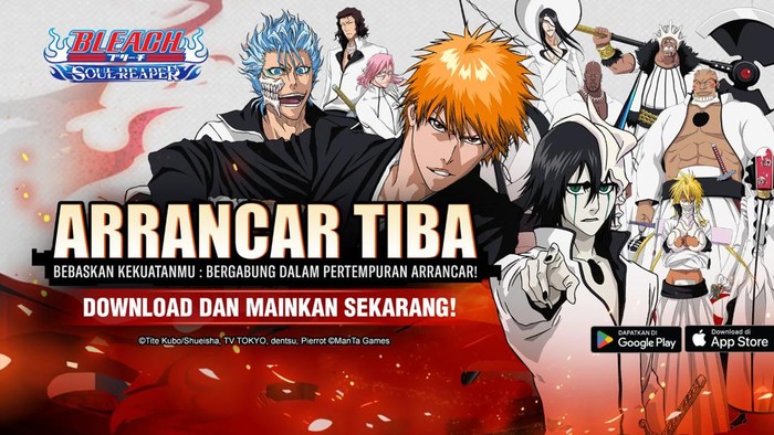 Bleach: Soul Reaper