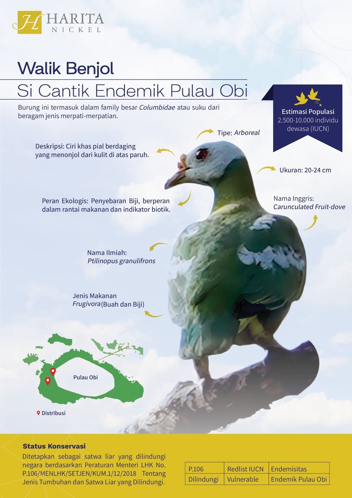 Dok Harita Nickel
