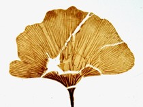 Peneliti Identifikasi Kemungkinan Ada Kehidupan di Mars Lewat Fosil Purba Ini