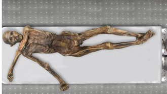 Mengejutkan! Ada Kehidupan Berusia Ribuan Tahun Tumbuh di Mumi Otzi