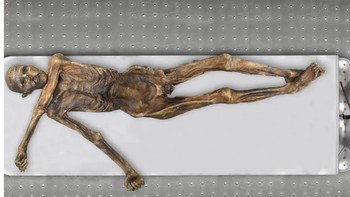 Manusia es Otzi: Otzi adalah mumi pria yang hidup antara tahun 3350 dan 3105 SM. Ia ditemukan 19 September 1991 di Pegunungan Alpen. Otzi adalah mumi manusia alami tertua di Eropa yang pernah diketahui. Dia dalam kondisi yang sangat baik sehingga ketika dia pertama kali ditemukan, diasumsikan bahwa dia baru saja meninggal. Kenyataannya, dia hidup ribuan tahun lalu. Penyebab kematiannya banyak diperdebatkan. Beberapa berpendapat bahwa dia menyerah pada unsur-unsur alam, sementara yang lain bersikeras dia kehabisan darah. Foto: (Südtiroler Archäologiemuseum / Eurac / Marco Samadelli-Gregor Staschitz via Smithsonian Magazine)