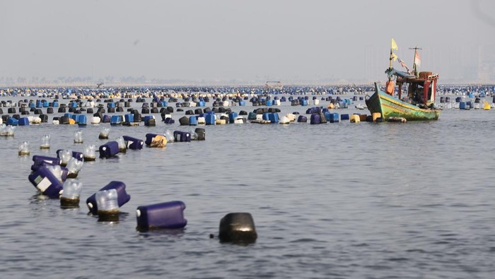 Penampakan Bagan Tancap yang Menjamur di Perairan Dadap Teluk Jakarta Beginilah penampakan bagan tancap yang menjamur memenuhi kawasan perairan Dadap di Teluk Jakarta. Nggak bahaya tah?