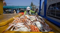Nelayan mengeluhkan harga rajungan yang anjlok dari harga Rp110 ribu per kilogram menjadi Rp50 ribu per kilogram karena permintaan ekspor ke pasar Amerika dan Eropa berkurang. 