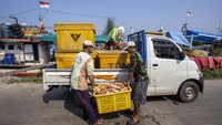 Nelayan mengumpulkan rajungan hasil tangkapan nelayan di Karangsong, Indramayu, Jawa Barat, Kamis (9/5/2024). 