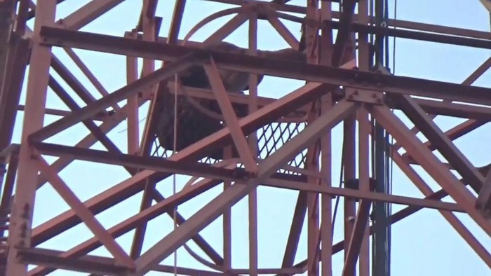 Pria Sumedang panjat tower 60 meter