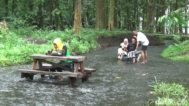 wisata di kapas ijo lumajang