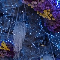 Kesan modern dan glamor terselip dengan kehadiran elemen cermin dan kerlip lampu yang menjuntai. Foto: Instagram @thebridestory @johan.k.lotus