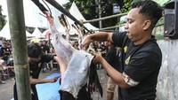 Peserta mengikuti lomba menguliti kambing saat Lebaran Tenabang 2024.