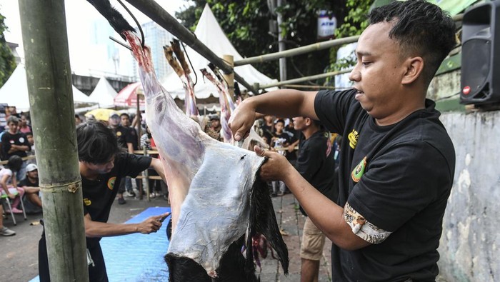Lebaran Tenabang 2024 Peserta mengikuti lomba menguliti kambing saat Lebaran Tenabang 2024 di depan Kantor Kecamatan Tanah Abang, Jakarta, Sabtu (11/5/2024). Kegiatan yang menampilkan berbagai kesenian, perlombaan dan makanan tradisional Betawi serta bazar UMKM itu mengusung tema Sukses Tenabang Untuk Indonesia. ANTARA FOTO/Hafidz Mubarak A/nz