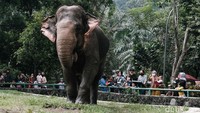 Pihak pengelola meminta para pengunjung dapat menjaga kebersihan di kawasan Ragunan.