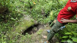 Penampakan Mata Air Unik bak Kelopak Mata di Hutan Angker Gunungkidul