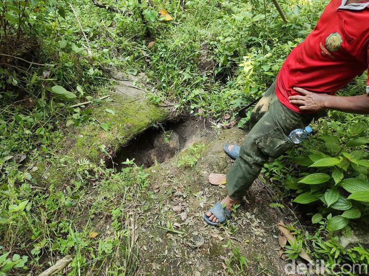 Penampakan Mata Air Unik bak Kelopak Mata di Hutan Angker Gunungkidul