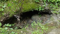 Setibanya di lokasi, terlihat mata air unik itu berbentuk mirip kelopak mata manusia raksasa. Mata air di Alas Tlawang itu memiliki ukuran panjang sekitar 60 cm dengan lebar 40 cm.