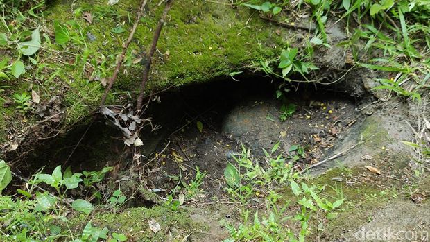 Mata air berbentuk kelopak mata di tengah alas angker Tlawah, Gunungkidul. Foto diambil Jumat (10/5/2024).