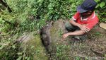 Penampakan Mata Air Unik bak Kelopak Mata di Hutan Angker Gunungkidul