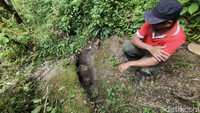 Jika dilihat dari arah timur, bola mata di mata air tersebut tak tampak jelas. Namun, jika dilihat dari sisi barat terlihat mata air itu terlihat mirip mata manusia raksasa. Bola mata yang terlihat seperti pupil manusia itu berasal dari batu yang sudah agak lapuk sehingga mudah tergerus saat dicongkel menggunakan sebatang kayu.