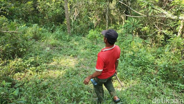 Mata air berbentuk kelopak mata di tengah alas angker Tlawah, Gunungkidul. Foto diambil Jumat (10/5/2024).