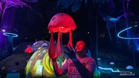 Foto hutan lampu.