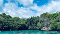 Rasa ingin berenang di kolam alami inipun tidak dapat tertahankan, saya harus turun menikmati Danau Weekuri.