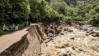 Menurut Kapolres, selain membuat badan jalan amblas, banjir bandang juga menghanyutkan pondok-pondok wisata di lokasi pemandian, termasuk sebuah kafe yang berdiri persis di depan air terjun Lembah Anai. ANTARA FOTO/Beni Wijaya
