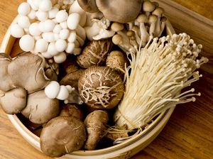 4 Cara Mudah Menyimpan Jamur Agar Awet Segarnya