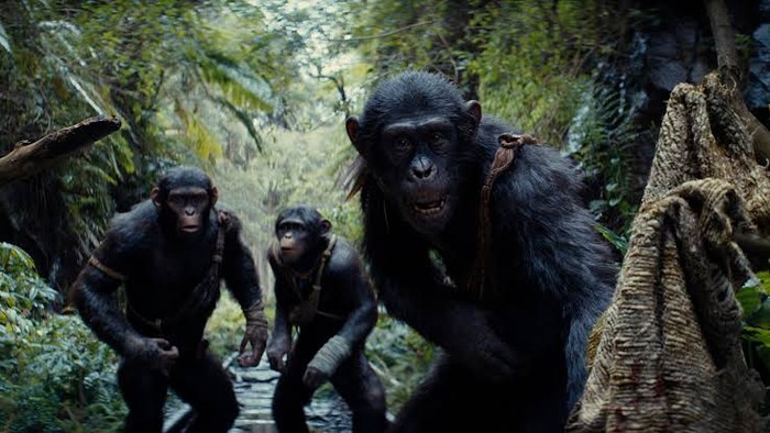 Kok Gak Ada Caesar di Kingdom of the Planet of the Apes?