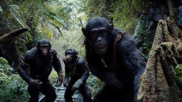 Cuplikan adegan dalam film Kingdom of the Planet of the Apes.