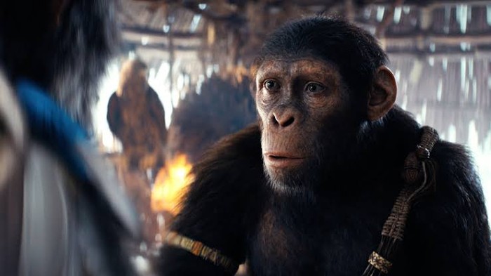 Kingdom of the Planet of the Apes Cuplikan adegan dalam film Kingdom of the Planet of the Apes.