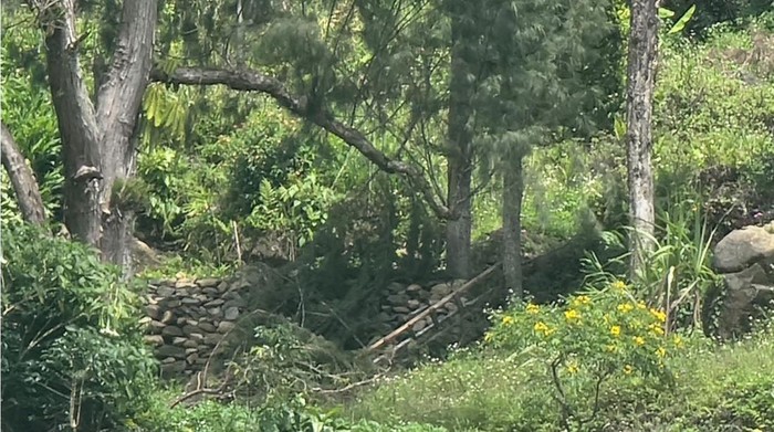 Lokasi persembunyian OPM di Distrik Homeyo, Intan Jaya.