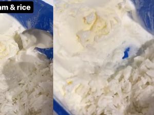 Agak Lain! Netizen Ini Makan Nasi Lauk Es Krim Vanila
