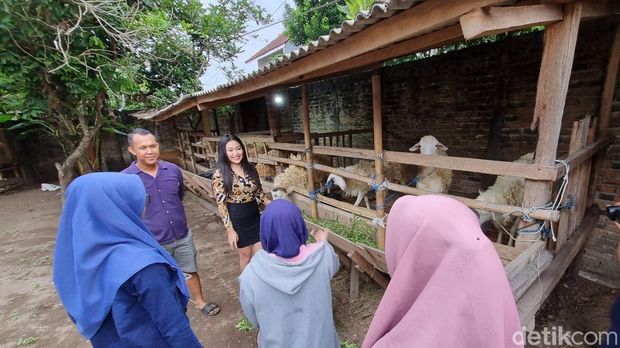 Penjual kambing kurban di Godegan RT 10, Tamantirto, Kasihan, Kabupaten Bantul, yang menggunakan jasa sales promotion girl (SPG), Minggu (12/5/2024).