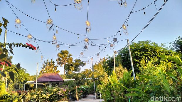 Dream Cafe yang berlokasi di belakang Perumahan Seroja No.1 Blok A, Kelurahan Manulai 2, Kecamatan Alak, Kota Kupang, Sabtu (11/05/2024). (Anastasya Evlynda Berek/detikBali)