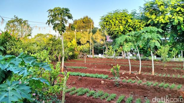 Dream Cafe yang berlokasi di belakang Perumahan Seroja No.1 Blok A, Kelurahan Manulai 2, Kecamatan Alak, Kota Kupang, Sabtu (11/05/2024). (Anastasya Evlynda Berek/detikBali)