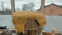 Buat adonan roti tapi tidak pakai ukuran, pegawai bakery ini kaget menemukan adonannya mengembang sampai berceceran. Foto: Pool/Site