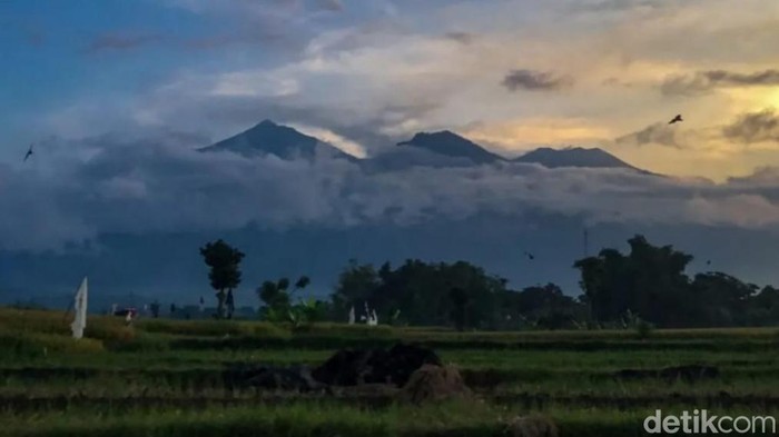 Gunung Arjuno-Welirang di Pasuruan yang masih tutup setelah kebakaran pada 2023