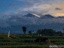 Pendakian Gunung Arjuno-Welirang Tutup Sejak Agustus 2023
