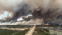 Laporan Reuters menyebut di Alberta, dua kebakaran hutan terjadi secara ekstrim dan di luar kendali dan mencatat 43 kebakaran aktif, termasuk satu kebakaran yang terletak 16 km barat daya Fort McMurray. Luasnya meningkat secara signifikan selama akhir pekan menjadi 5.500 hektar, jauh lebih besar dari apa yang dilaporkan pada Jumat (10/5/2024) lalu. (REUTERS/Alberta Wildfire)  