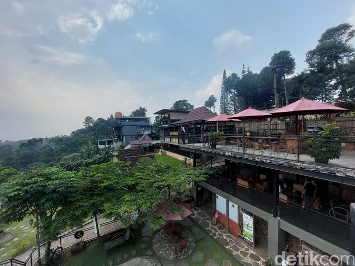 Kopi Koneng di Sentul Kopi Koneng di Sentul