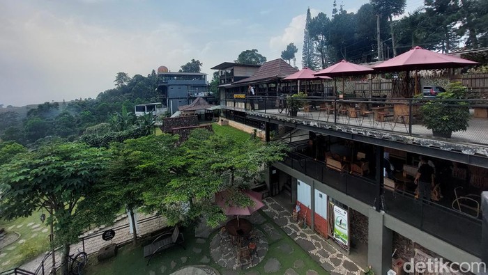 Kopi Koneng di Sentul