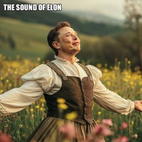 Meme Elon Musk